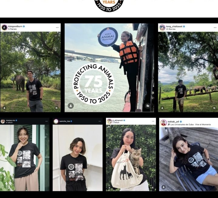 ดารา-คนดัง รวมพลังร่วมส่งเสียงแทนสัตว์ไร้เสียง ฉลอง 75 ปี World Animal Protection ในแคมเปญ “Don’t Forget Them”