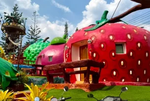 ถิ่นวัฒนธรรมทั่วไทยไปกับพี่หนุ่ม-สุทน รุ่งธัญรัตน์ : พาไปรู้จักเขาค้อดรีมแลนด์รีสอร์ทบ้านผลไม้ อำเภอเขาค้อ จังหวัดเพชรบูรณ์ เป็นบ้านพักรูปผลไม้ดูโดดเด่นมาก